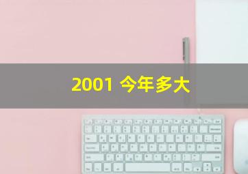 2001 今年多大